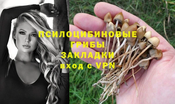 амф Богородицк
