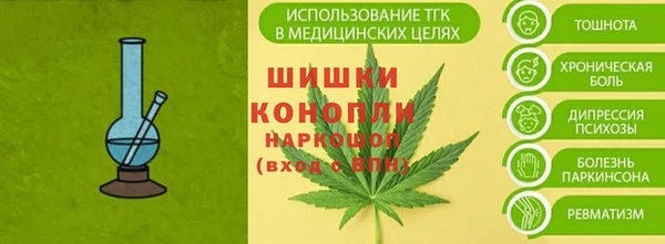 сатива Богородск