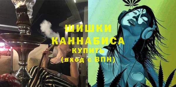 амф Богородицк