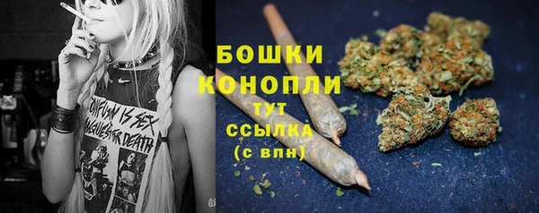 амф Богородицк