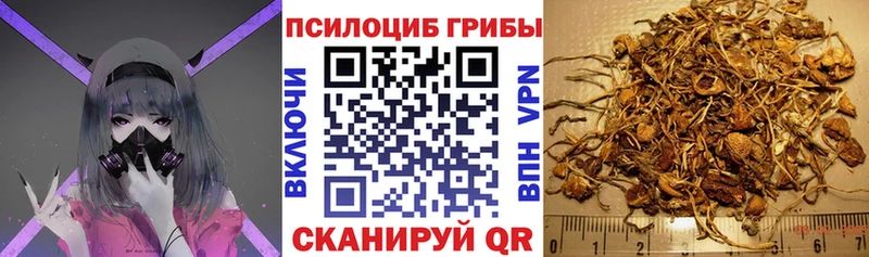 Галлюциногенные грибы Cubensis  блэк спрут как зайти  Кириши  где найти  