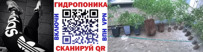 Шишки марихуана индика  наркота  Кириши 